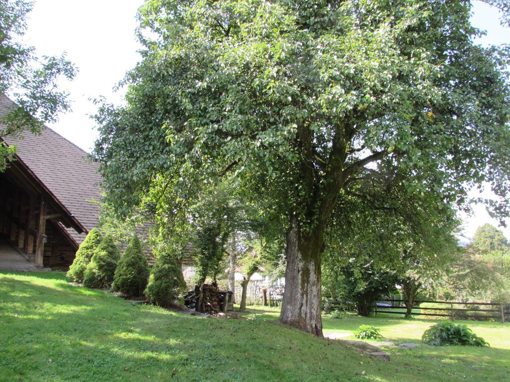 Emme Lodge Langnau Exterior photo